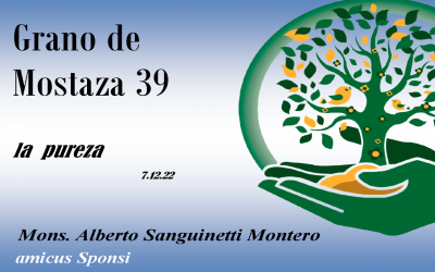 39 Grano de mostaza –  la pureza