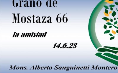 66 Grano de mostaza – la amistad