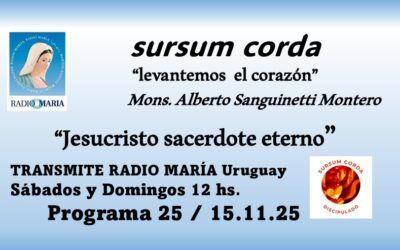 25 sursum corda – Jesucristo sacerdote eterno