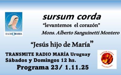 23 sursum corda – Jesús hijo de María