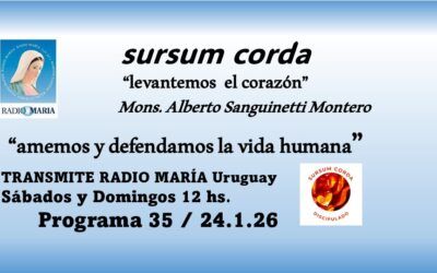 35 sursum corda – amemos y defendamos la vida