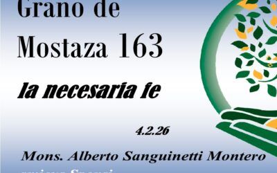 163 Grano de mostaza – la necesaria fe